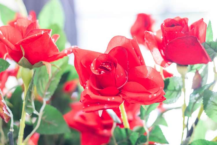 2/19 Goldsmith Street Leamington_6