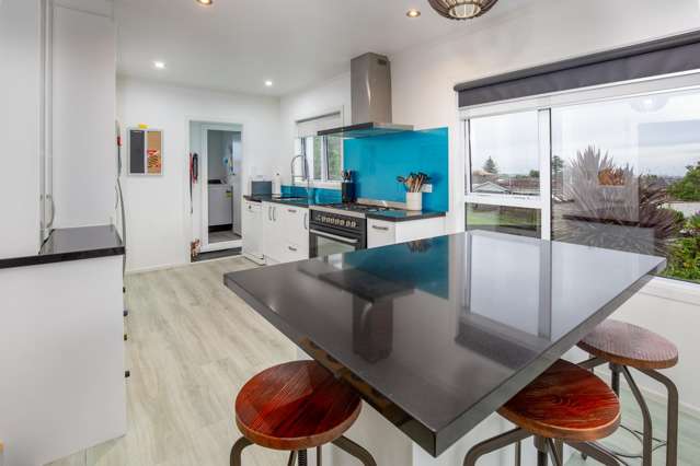 17 Collie Street Hillpark_3