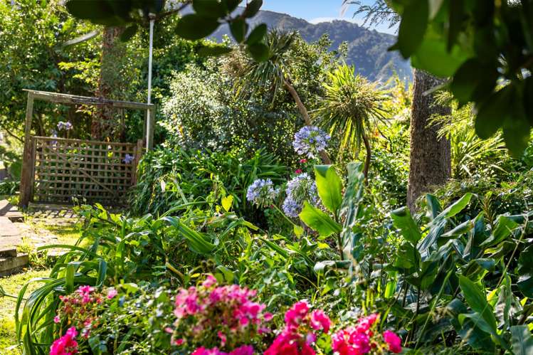 59 York Street Picton_31