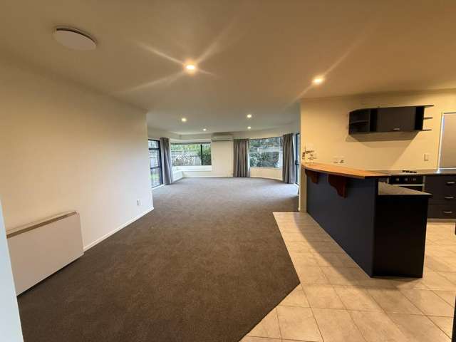 84 Birch Street 11201_2