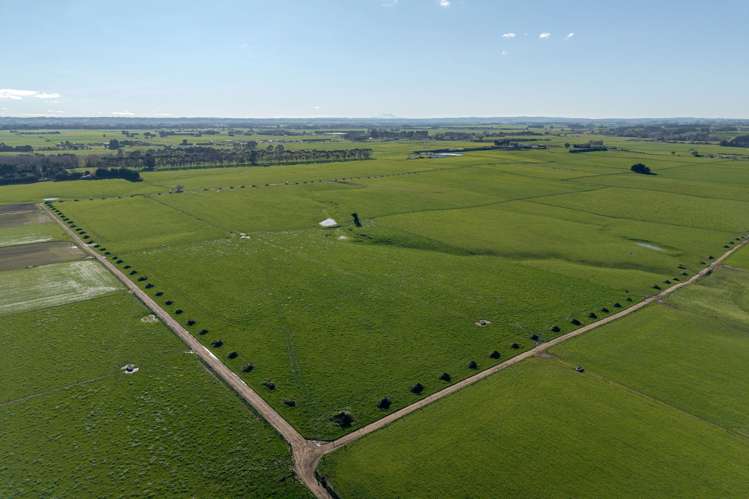 325 Reid Line East Bunnythorpe_6