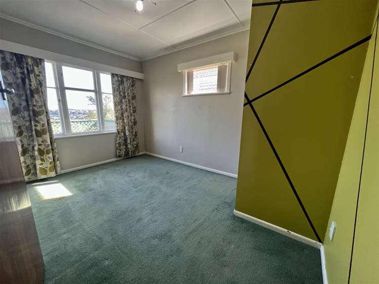 27 Tiverton Road Avondale_4