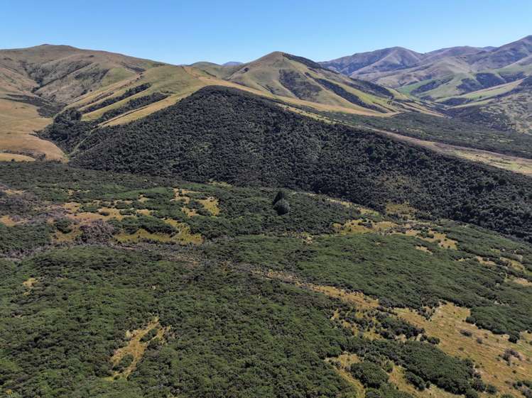 201 Sheepwash Creek Road Ardlussa_6