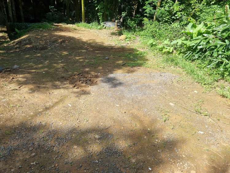 21 Glen Brook Road_5