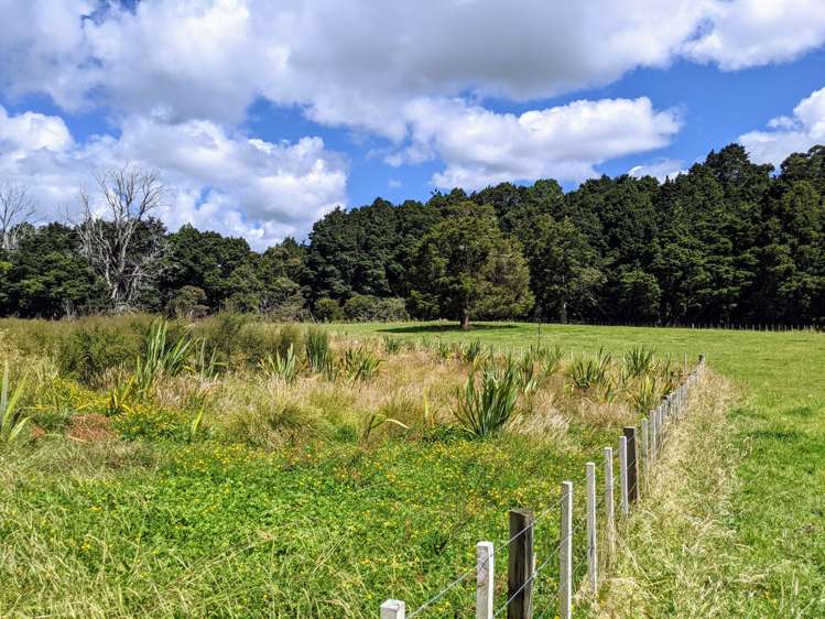 634 West Coast Road Makarau_9