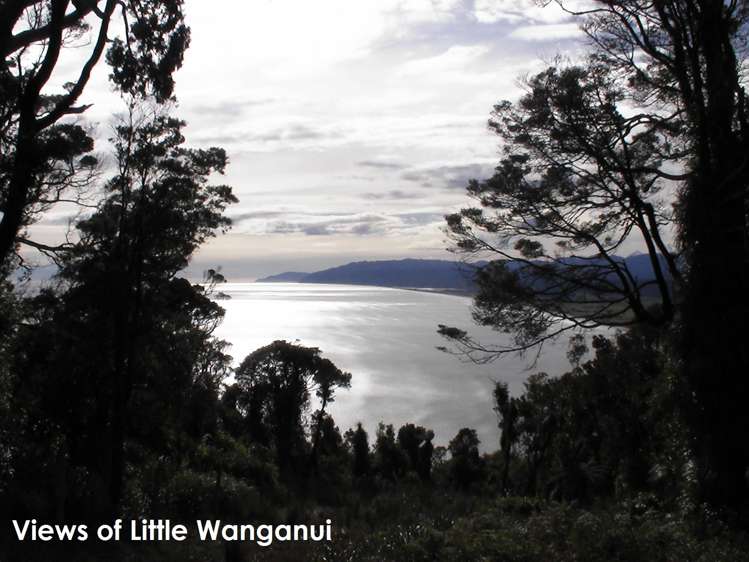 19 Horncastle Crescent Kahurangi National Park_8