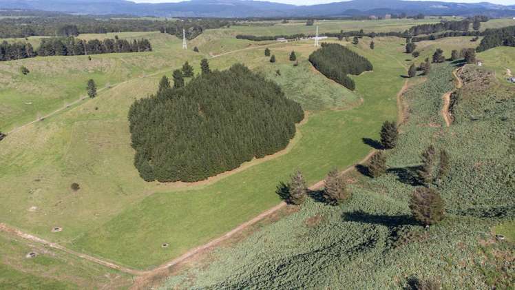 248 Lichenstein Road Okere Falls_26