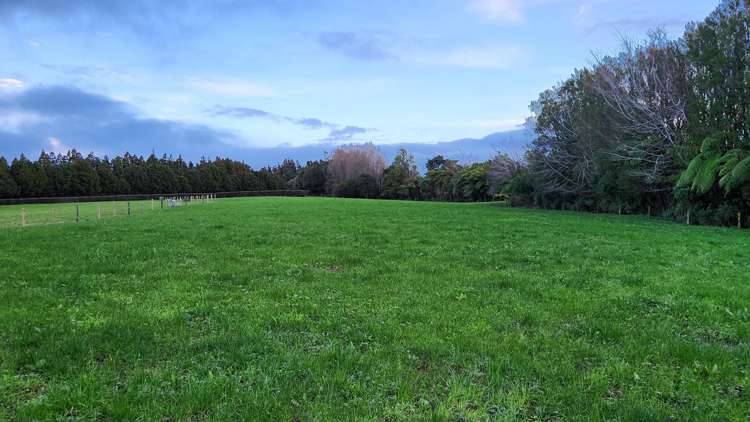 71 Lepper Road Inglewood_22