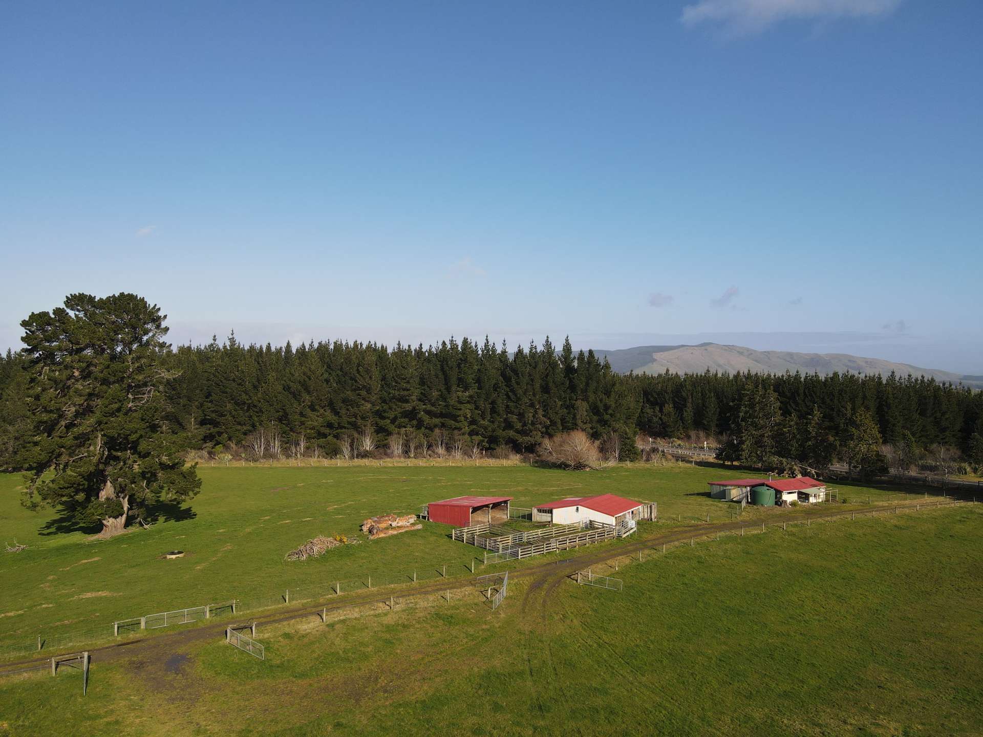 450 Nightcaps - Ohai Highway Ohai_0