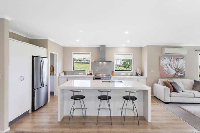 33 William Andrew Road Pukekohe_1