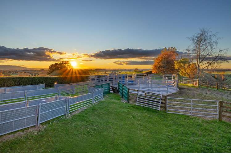 363 Grice Road Rotoorangi_19
