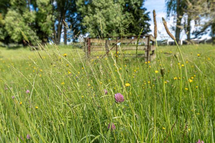 526 Hakarimata Road Ngaruawahia_34