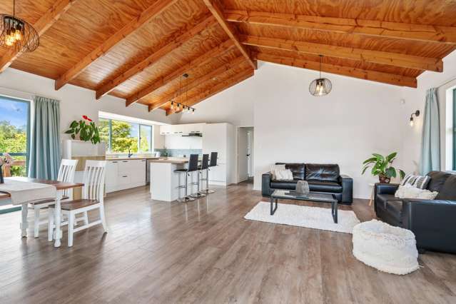 136 Mangapai Road Mangapai and Surrounds_3