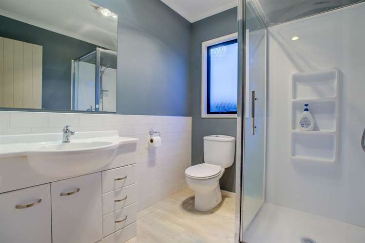 44d Willoughby Street Whitiora_9