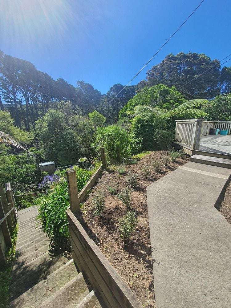 43C Wilton Road Wadestown_2