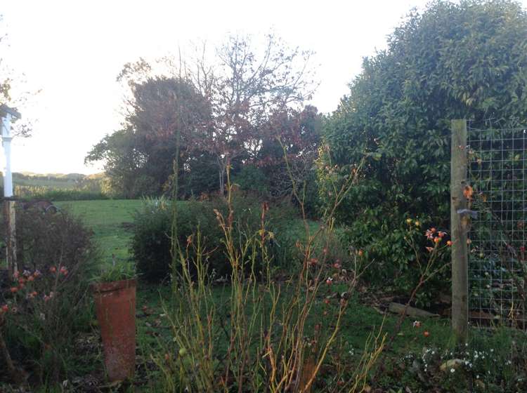 769 Tokomaru West Road Brunswick_10