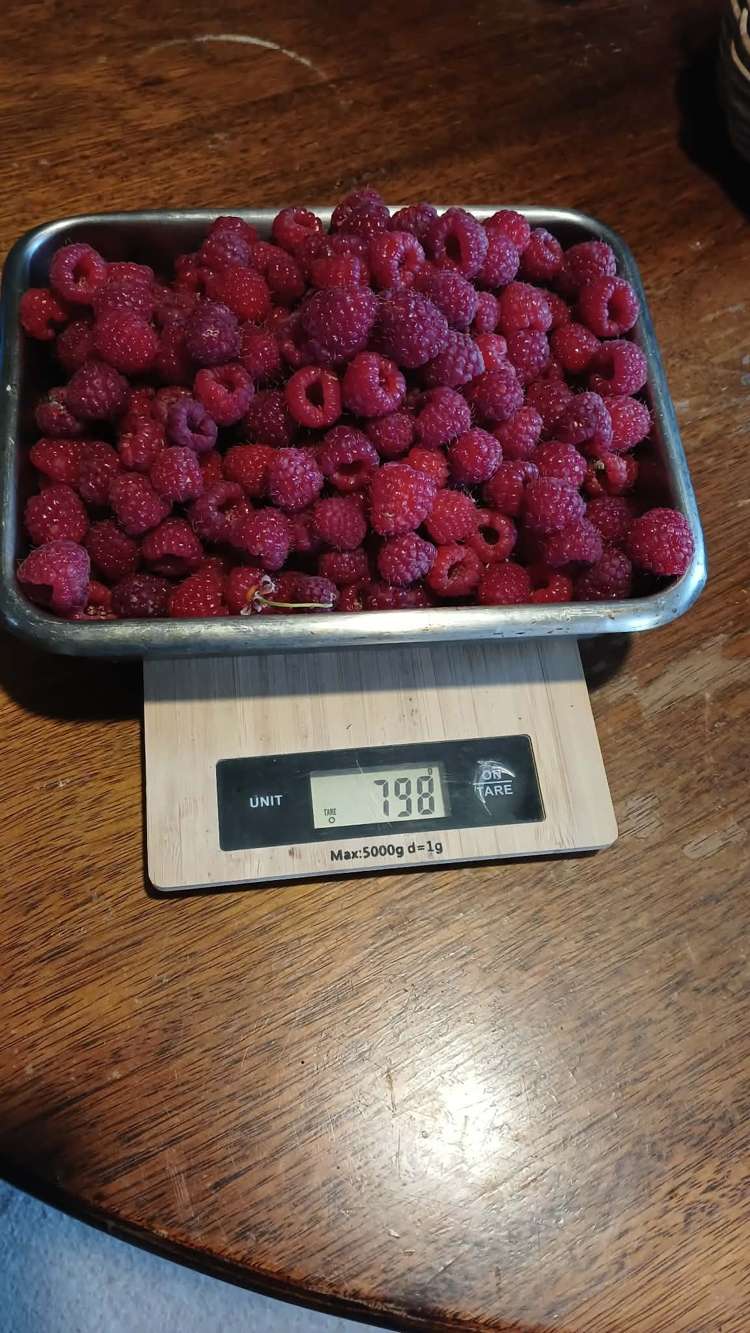 21&23 Tanekaha Terrace Mangakino_13