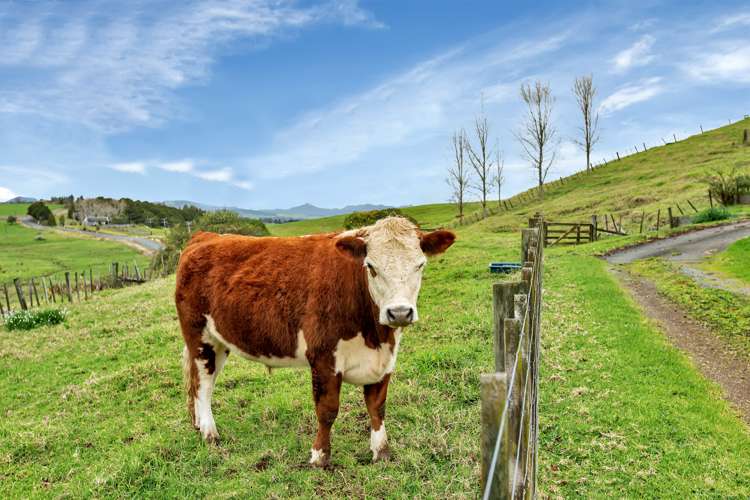 1859 Pipiwai Road Ruatangata_7