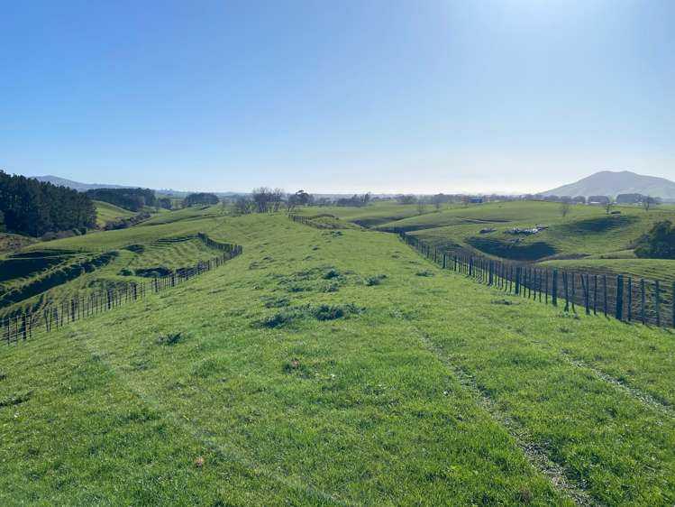 84 Tihiroa Road Otorohanga_4