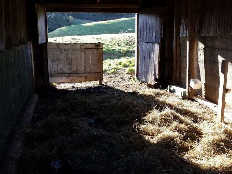 103 Kupara Road Ratapiko_18