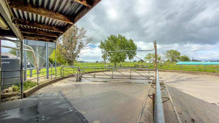 264 Matatoki Road Matatoki_5