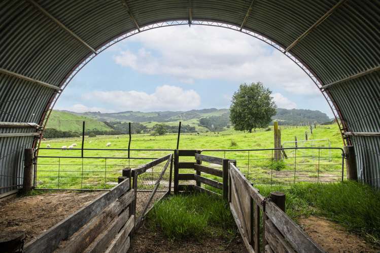 232 Kotare Road Ruakituri_21