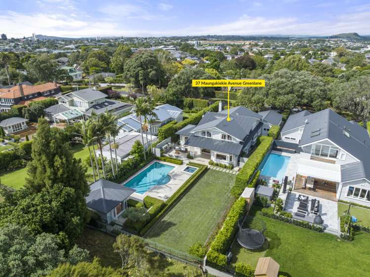 37 Maungakiekie Avenue Greenlane_37