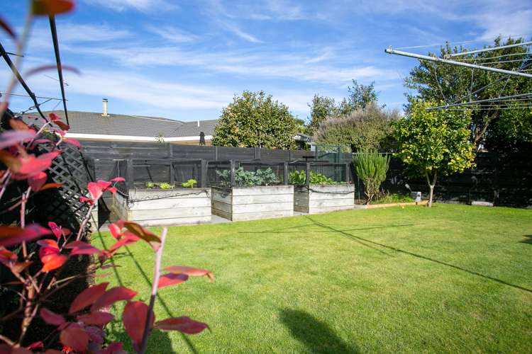 91 Williams Street Cambridge_23