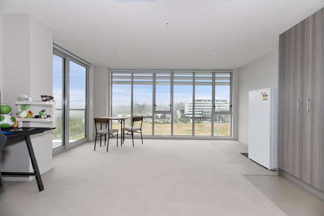 AFFORDABLE. 2 BEDROOM. SUNNY. ALBANY.