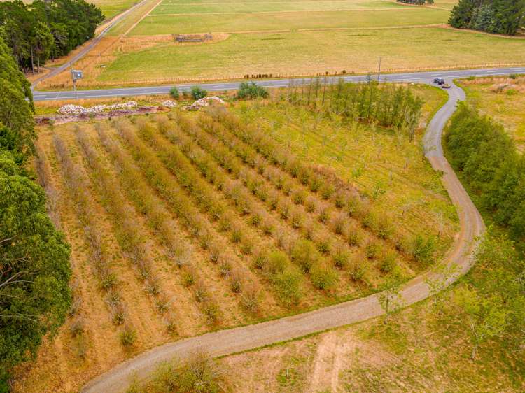 1776 State Highway 2 Tauwharenikau_20