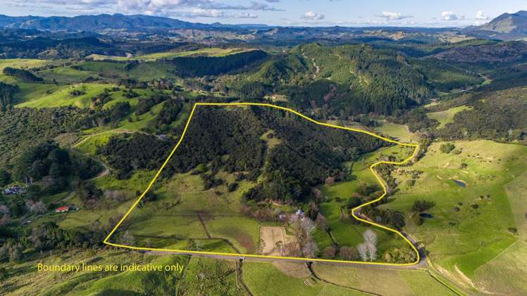 113 Puhata Road Herekino_21