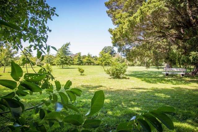 174 Kuratawhiti Street Woodside_4