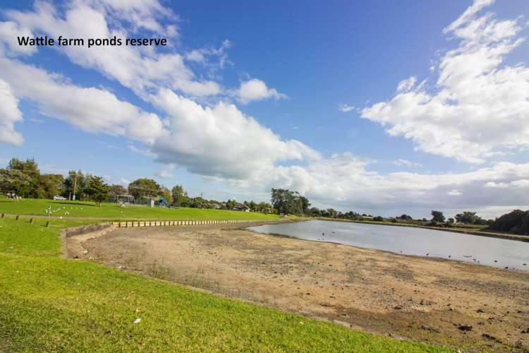 36 Seaward Place Wattle Downs_14