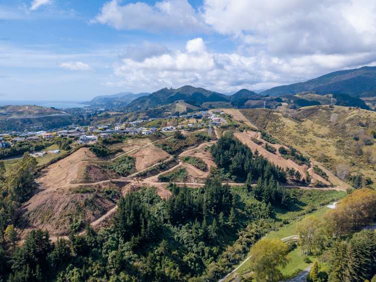 184 Panorama Drive Enner Glynn_15