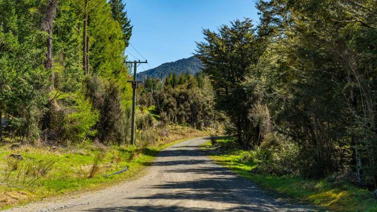 202 Mount Lyford Forest Drive Lyford_19