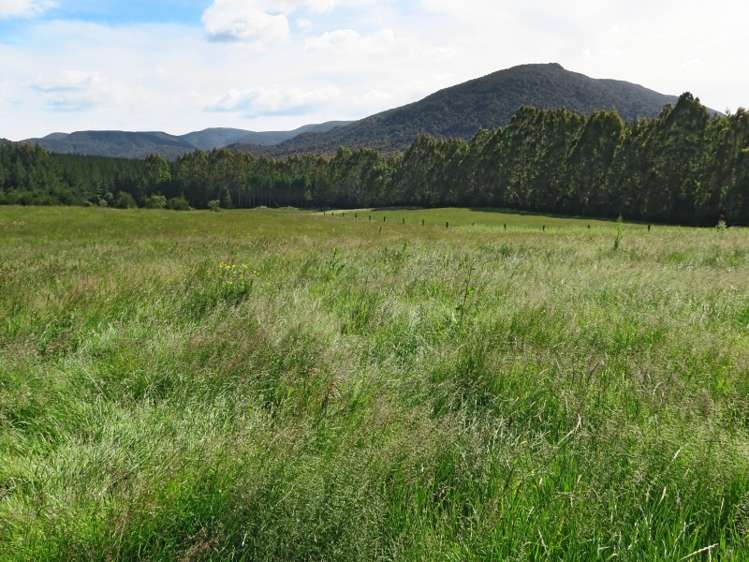 2350 Tahakopa Valley Road Catlins Surrounds_19
