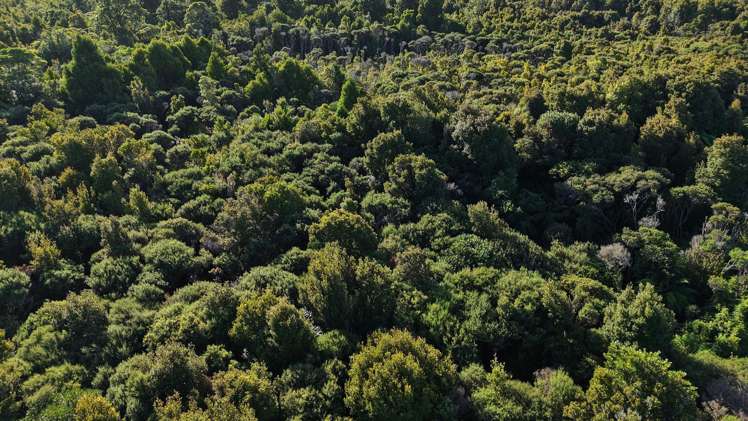 Lot 1 South Terrace Road Karamea_22