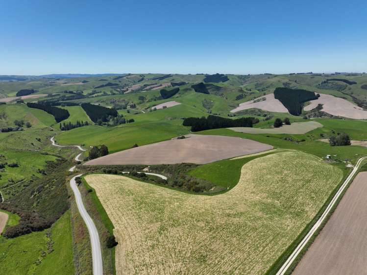 575 Tuapeka Flat Road Lawrence_10