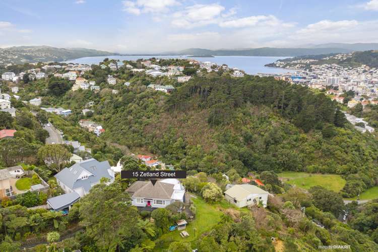 15 Zetland Street Highbury_14