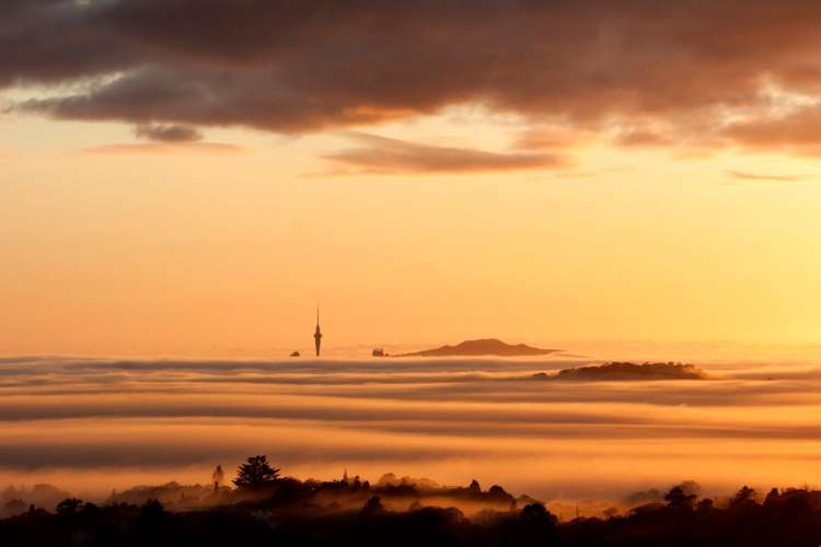 44 Kohu Road Titirangi_19