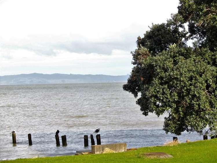 101 Ash Street Thames_30