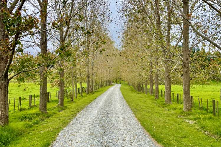 70 Spindler Road Wellsford_6