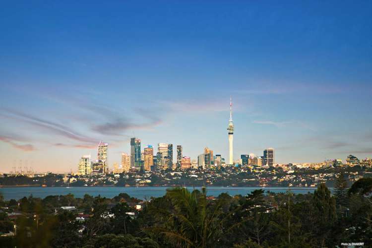 25 Petrel Place Massey_1