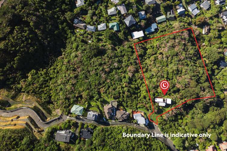 12 Alanbrooke Place Karori_18
