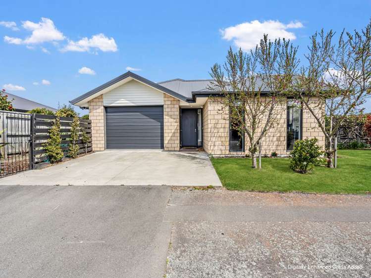 170 William Street Netherby_0