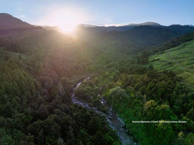 348D Rea Road Katikati_4