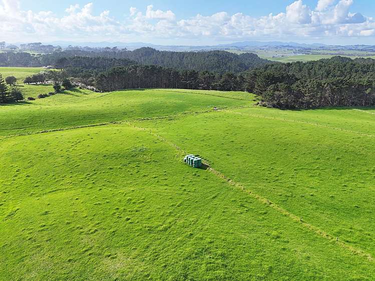 1000 Redhill Road Te Kopuru_21