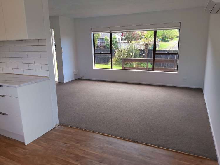 118 Homedale Street Pukehangi_4