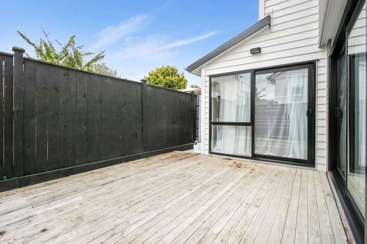 1b Coleman Avenue Mount Roskill_3