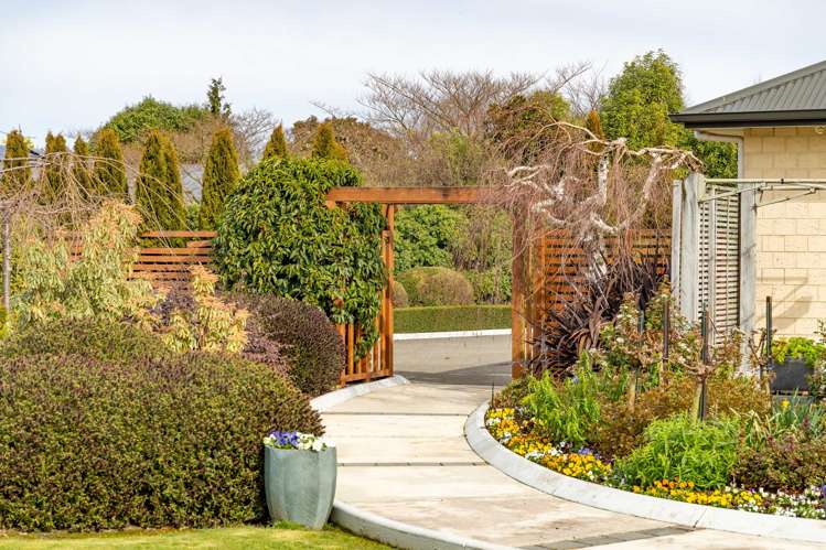 5 Francis Lane Masterton_24